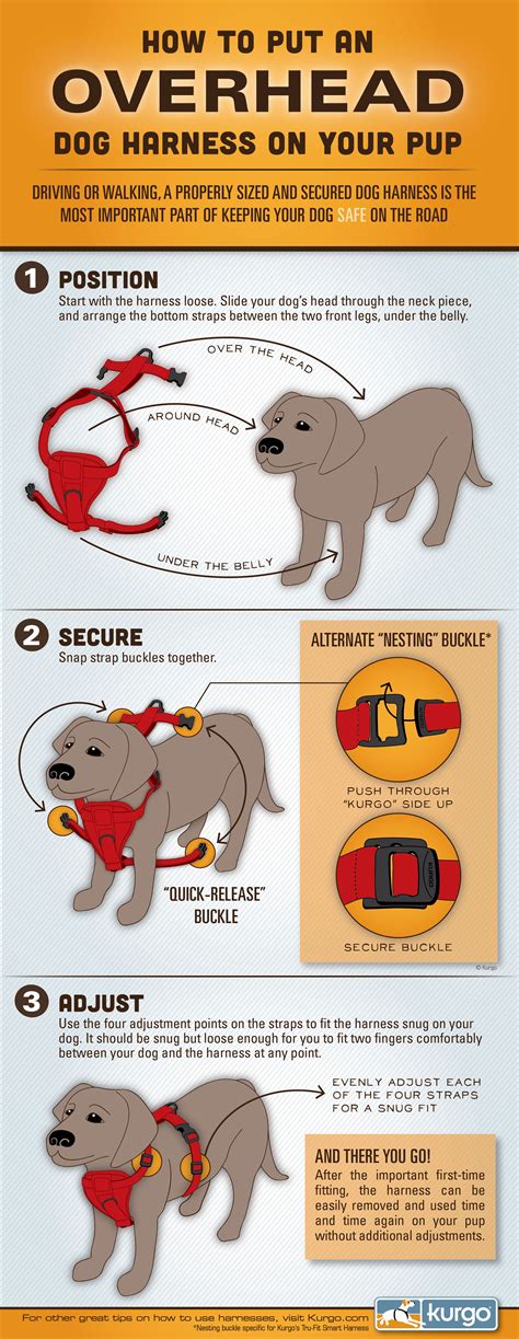 Clip your leash in so that once you get your dog into the gentle leader, he won’t run away. [1] 2. Open the neck strap with both hands. When you do this, your leash and the nose loop should hang down directly in the center so that the whole gentle leader forms the shape of a ‘T’. Place the neck strap around your dog’s neck.